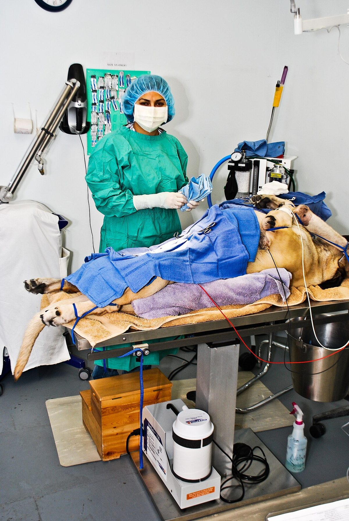 Anesthesia Monitoring