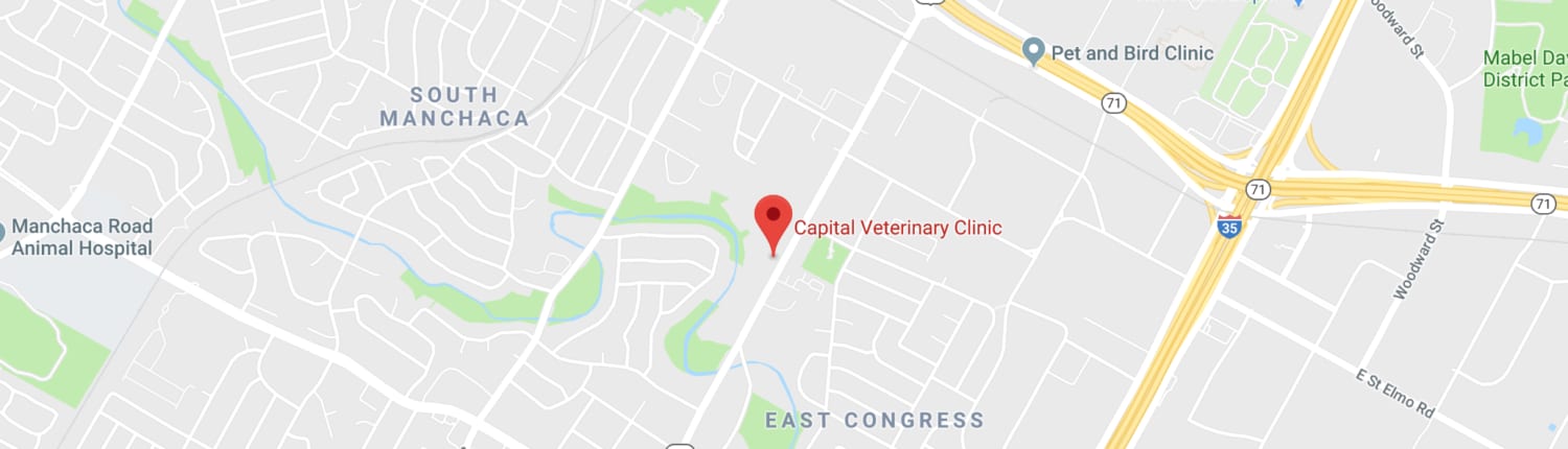 Street map with a red pin labelled Capital Veterinary Clinic between South Manchaca and East Congress