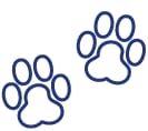 Capital Veterinary Clinic - Austin