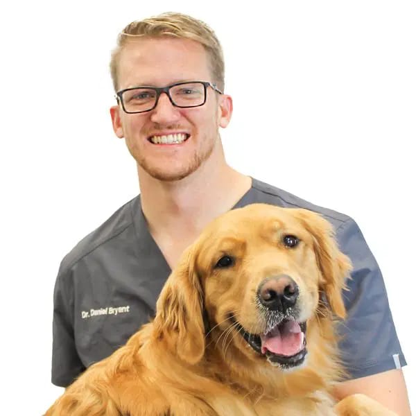 Smiling person with glasses in grey scrubs with a golden-coloured dog on a white background