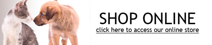 Shop Online banner with a grey and white kitten facing a light brown puppy