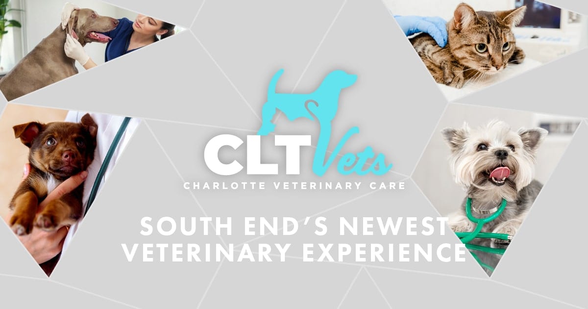 CLT Vets - Charlotte