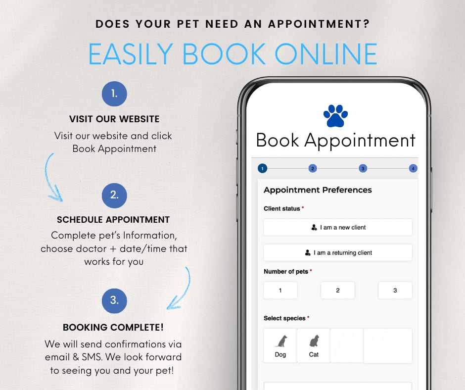 Easily Book Online graphic with three numbered steps and a phone showing a Book Appointment form