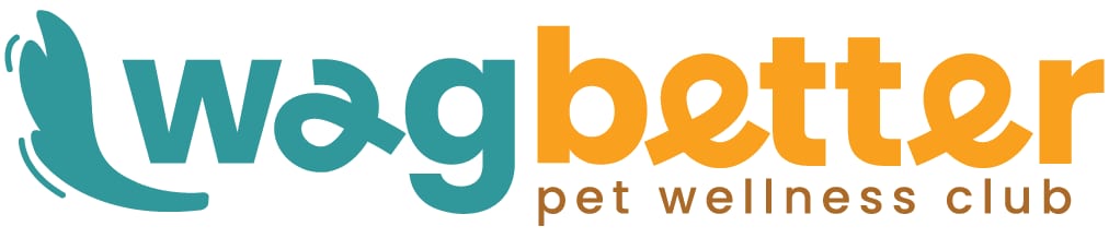 Plymouth Heights Pet Hospital - New Hope