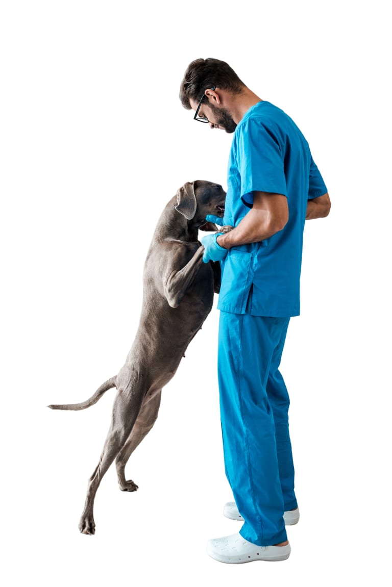 Pet Palace Vet Clinic - Aurora
