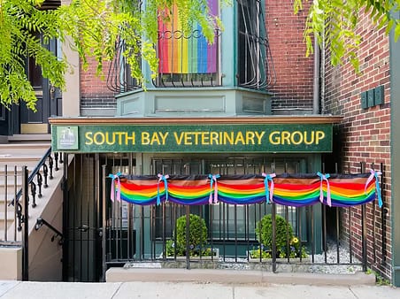 Green sign reading South Bay Veterinary Group above a railing draped with rainbow bunting on a brick building