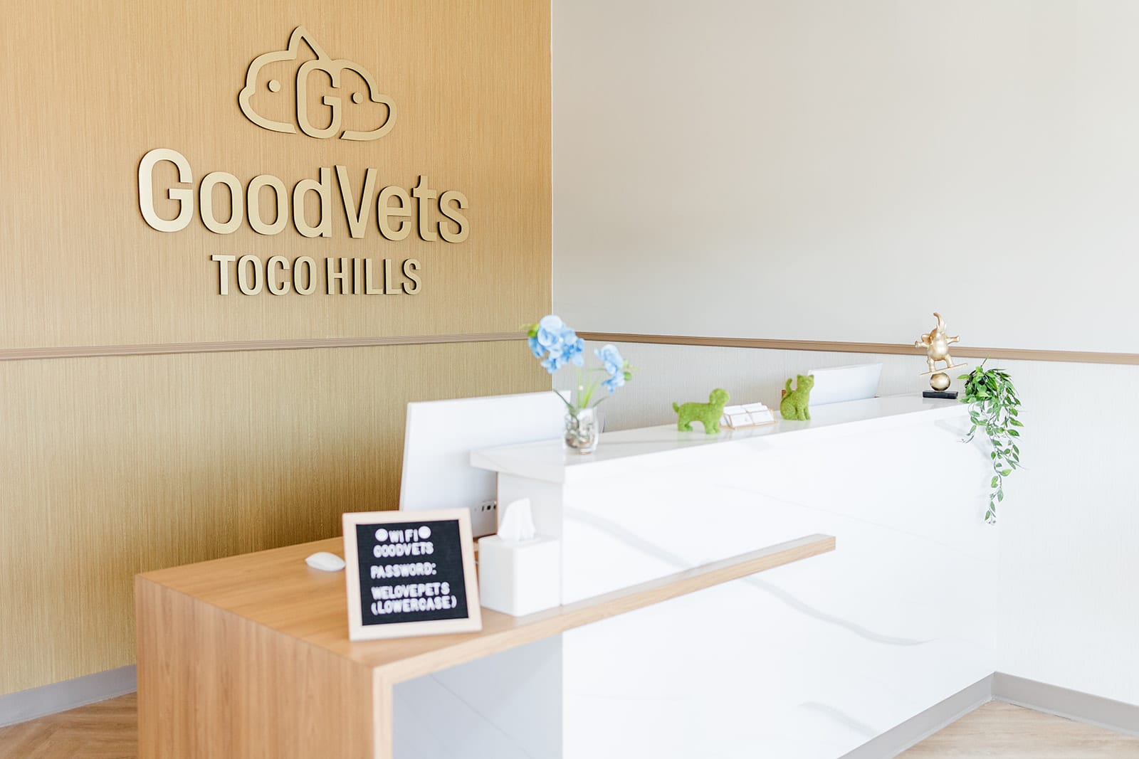 GoodVets Toco Hills - Atlanta