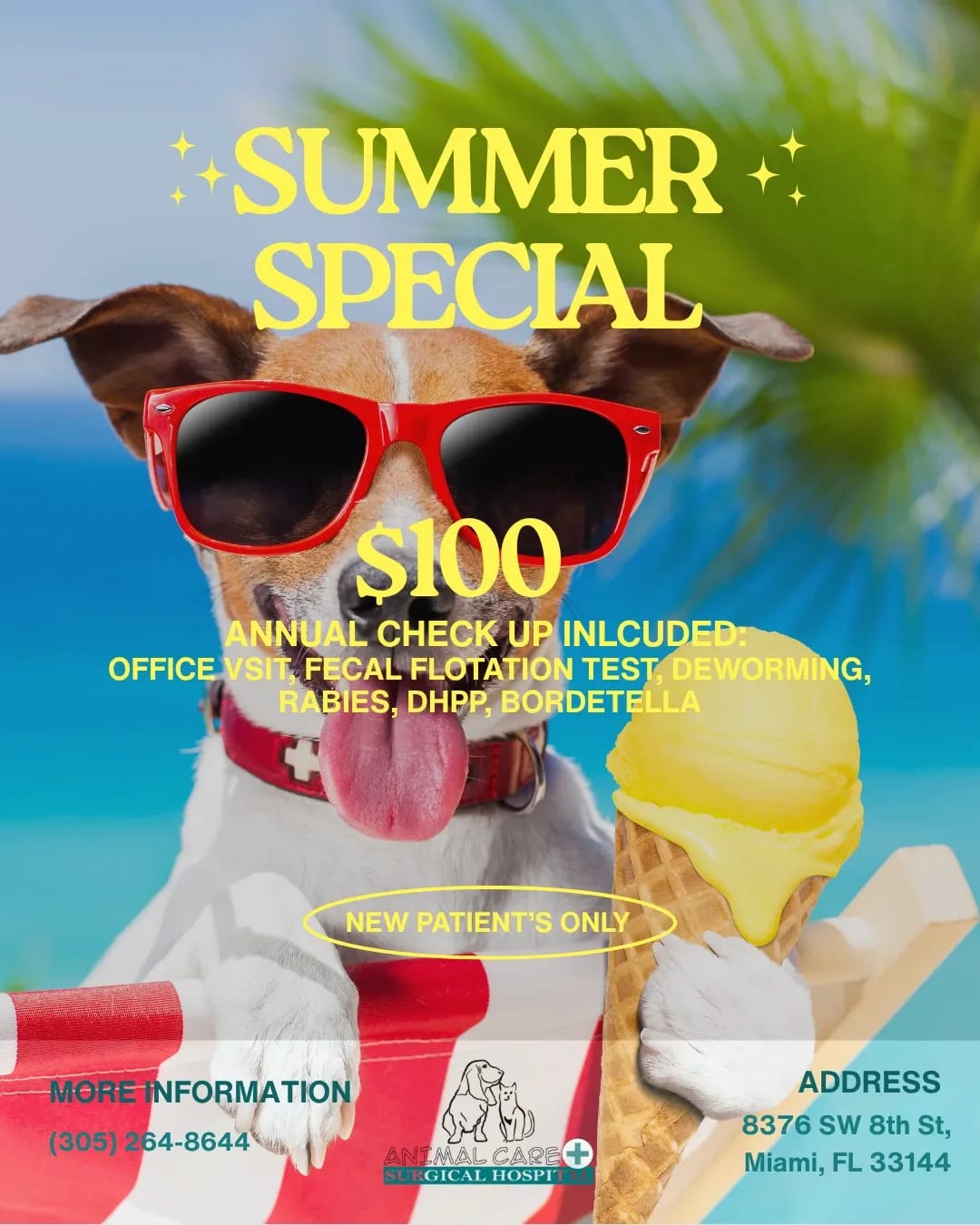 Summer Special promotional flyer with a dog in red sunglasses holding an ice cream cone
