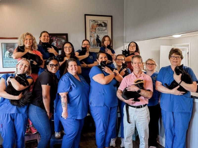 Group of smiling people in blue scrubs, several holding black cats, in front of framed posters