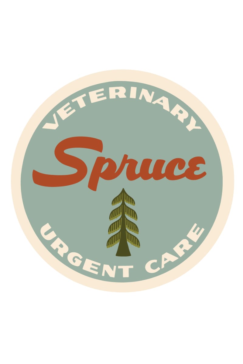 Circular Spruce Veterinary Urgent Care logo with a green spruce tree on a blue-grey background