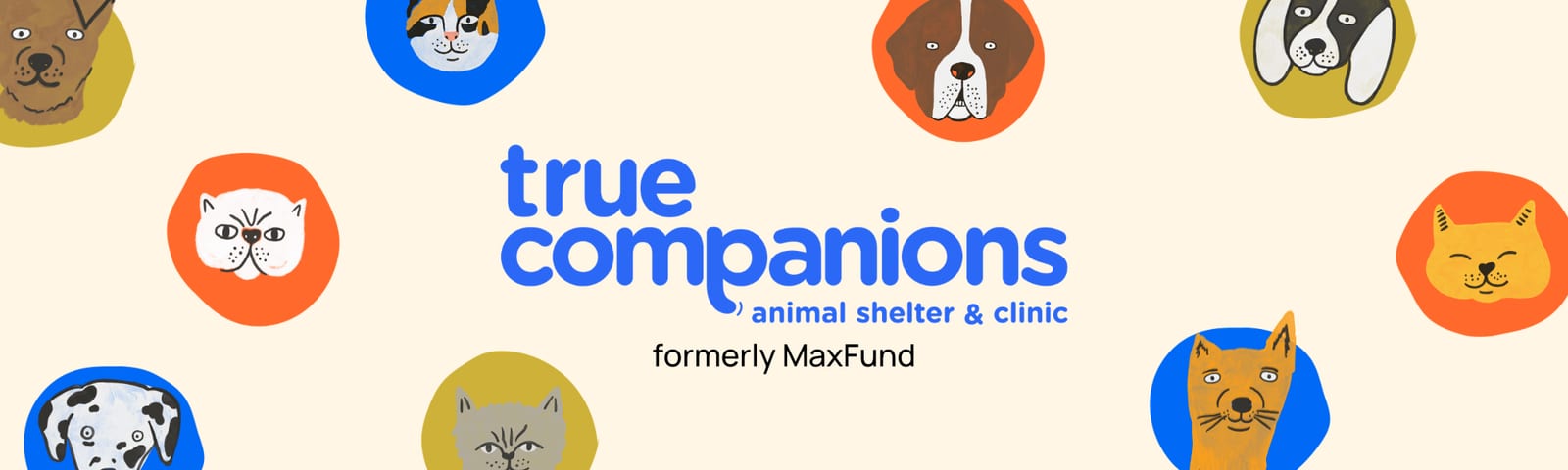 MaxFund Dog Shelter - Denver