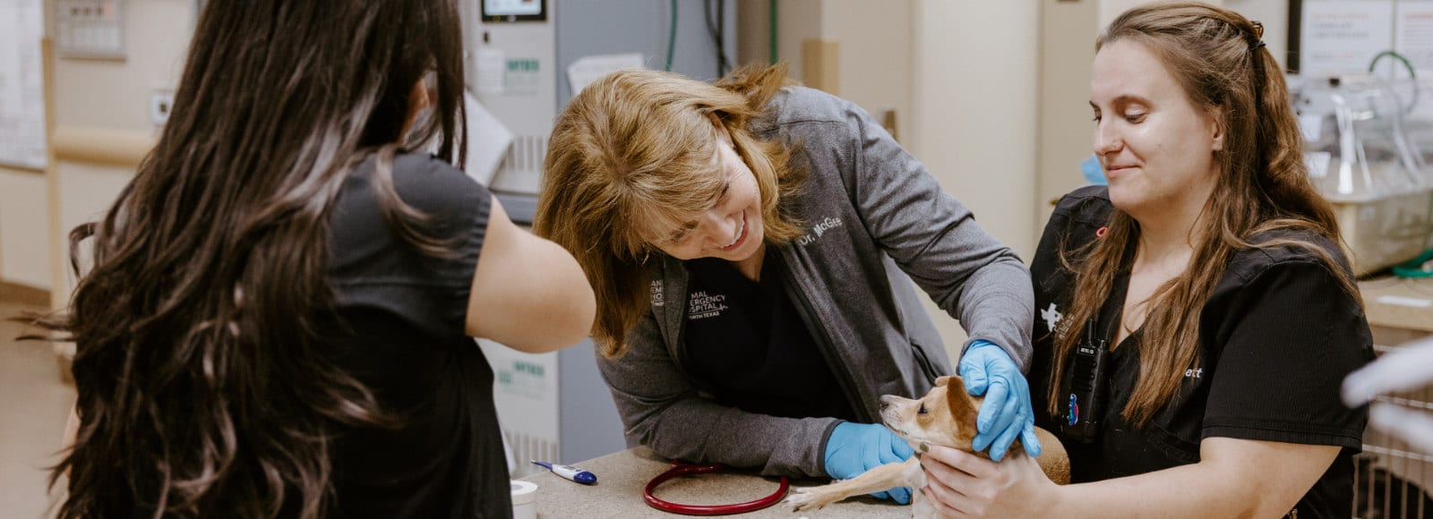 Animal Emergency Hospital of North Texas - Grapevine
