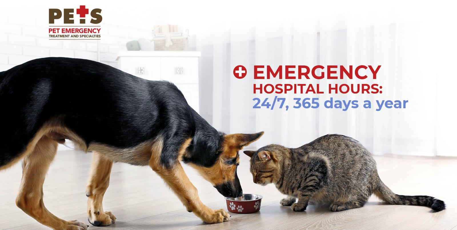 Pet Emergency Treatment and Specialties graphic with a dog and cat eating from one bowl beside hours text