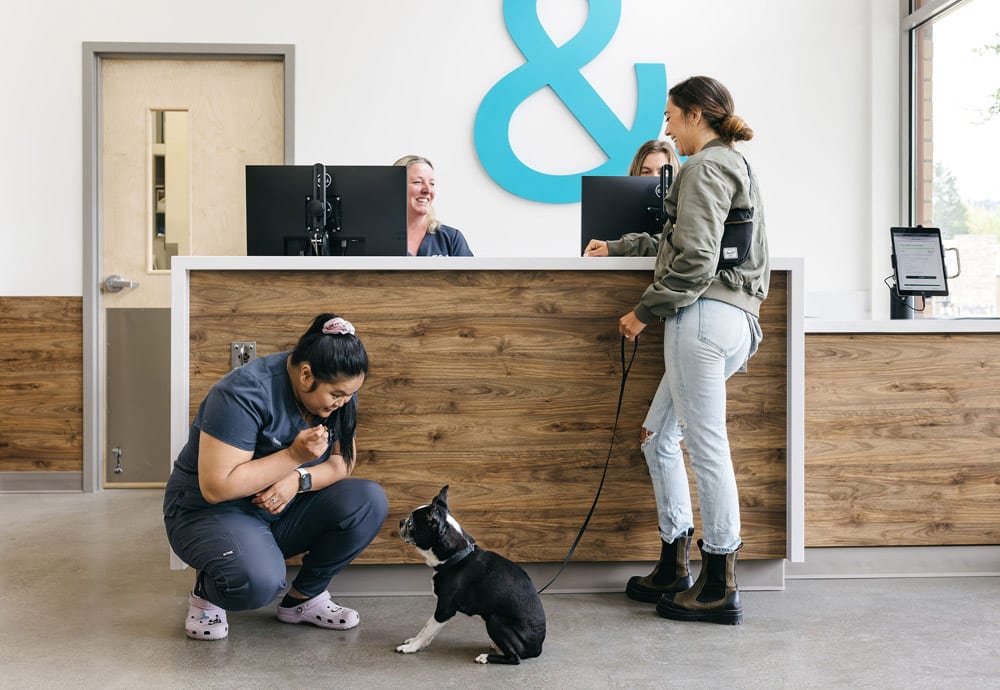 Felix&Fido Veterinary Care - Issaquah - Issaquah