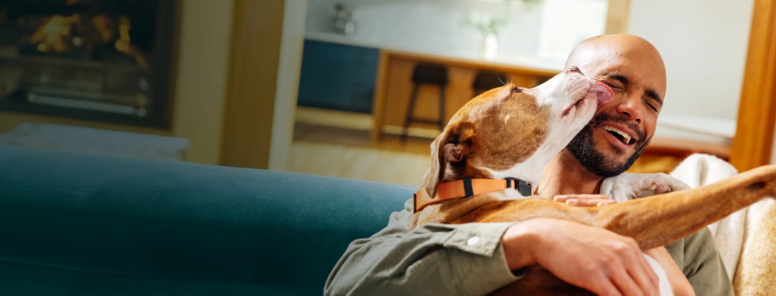 Smiling bearded man on a sofa being licked on the cheek by a brown and white dog