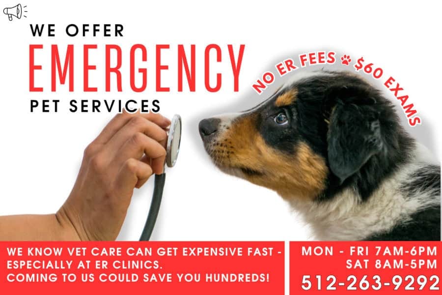 Emergency pet services promotional graphic with a hand holding a stethoscope toward a puppy's face