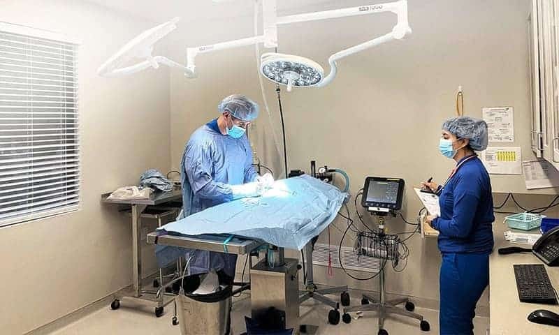 Two people in blue scrubs, caps and masks in a surgery room with overhead lights and a monitor