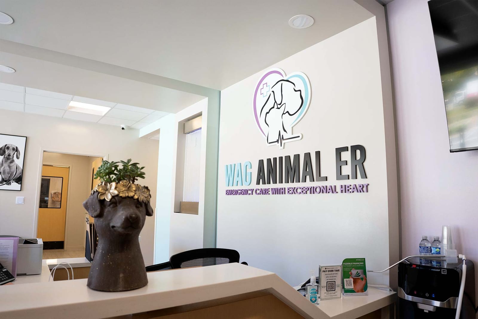 Reception area at WAG Animal ER with a wall logo sign and a dog-head planter on the counter