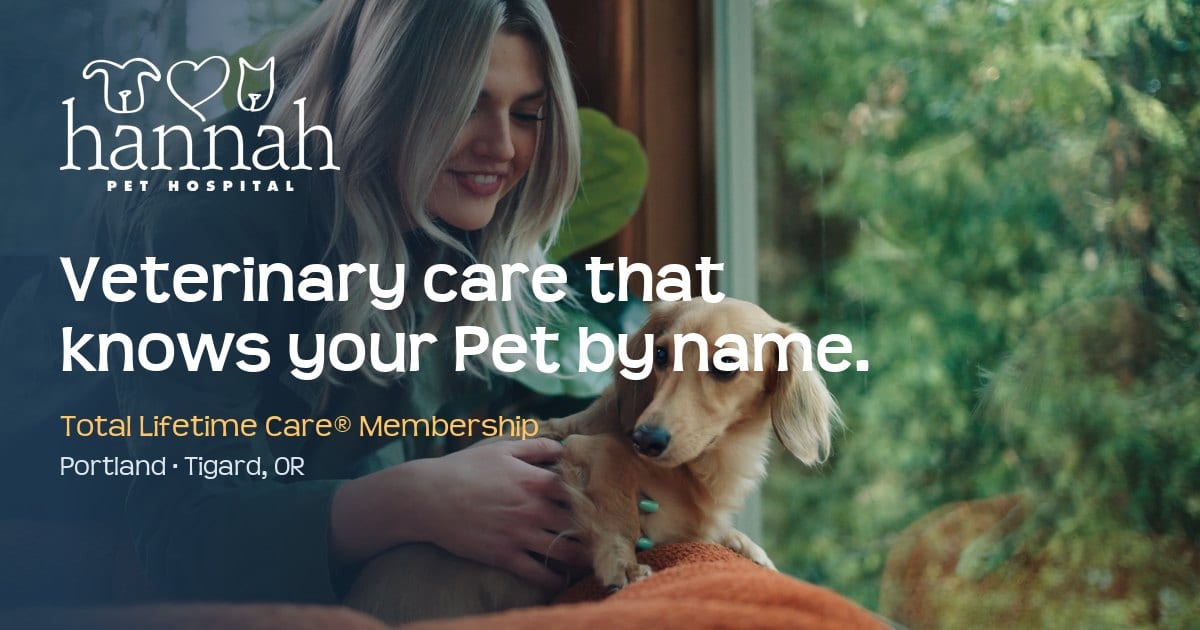 Hannah Pet Hospital banner reading Veterinary care that knows your Pet by name
