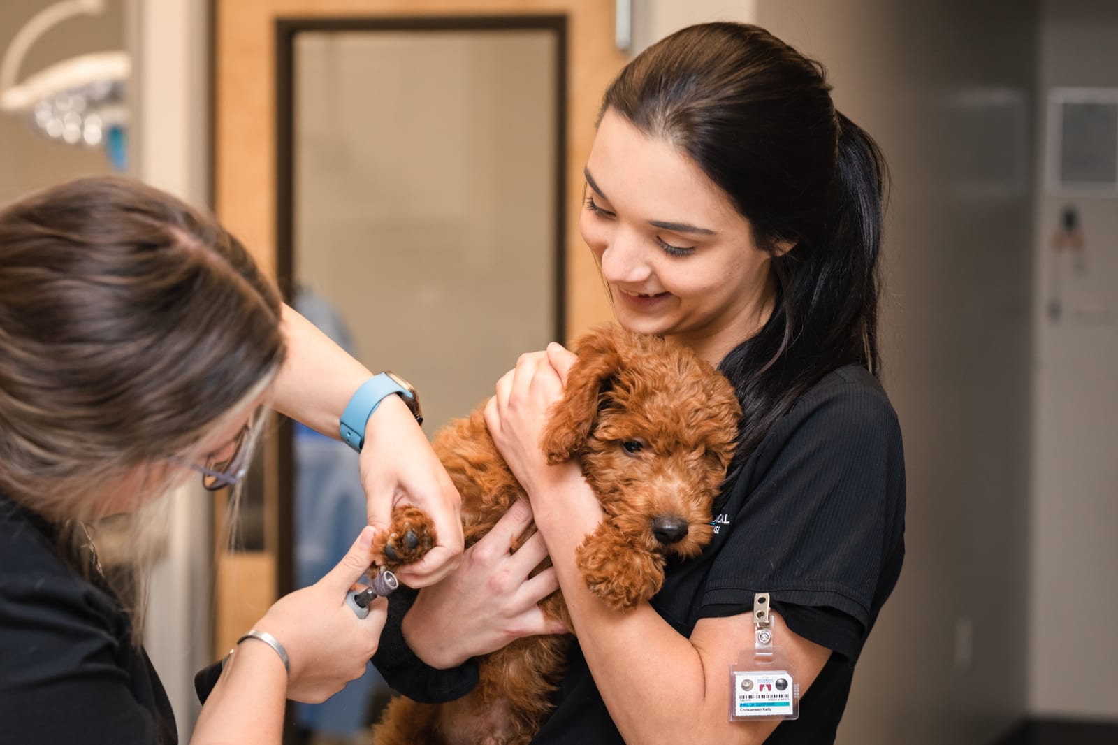 Smiling woman in black scrubs holding a curly red-brown puppy while another person holds its paw