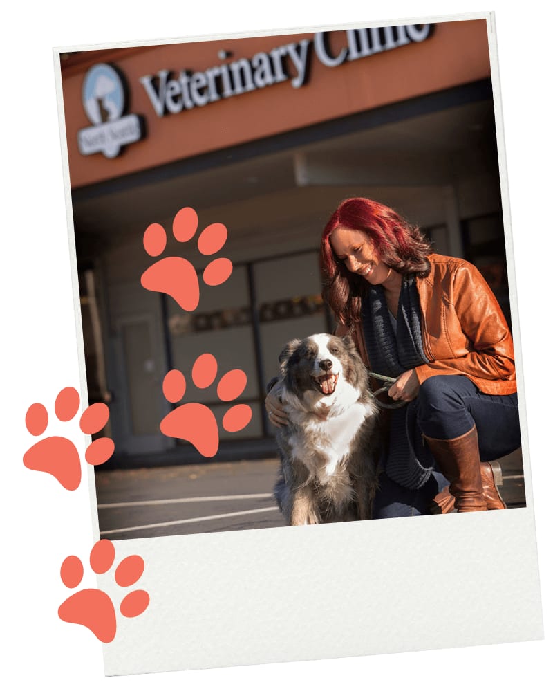 North Seattle Veterinary Clinic - Seattle