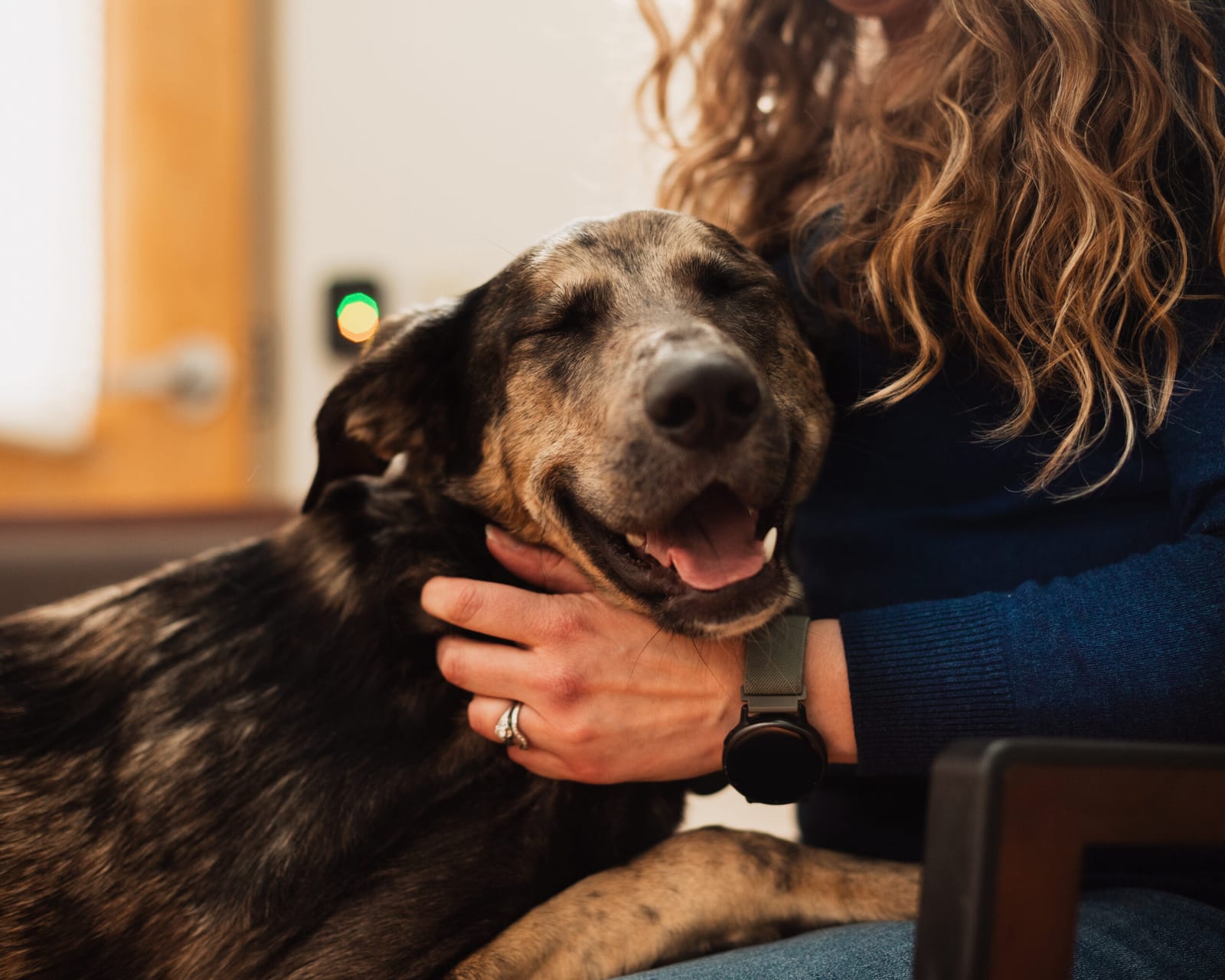 Colorado State University Veterinary Hospital and Education Complex - Fort Collins