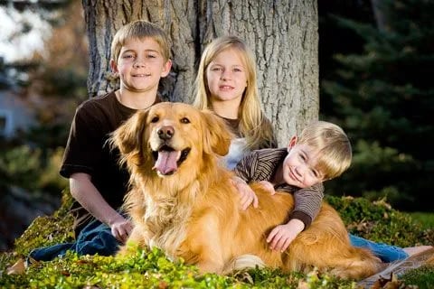 Three smiling children posing with a golden dog on grass in front of a large tree trunk