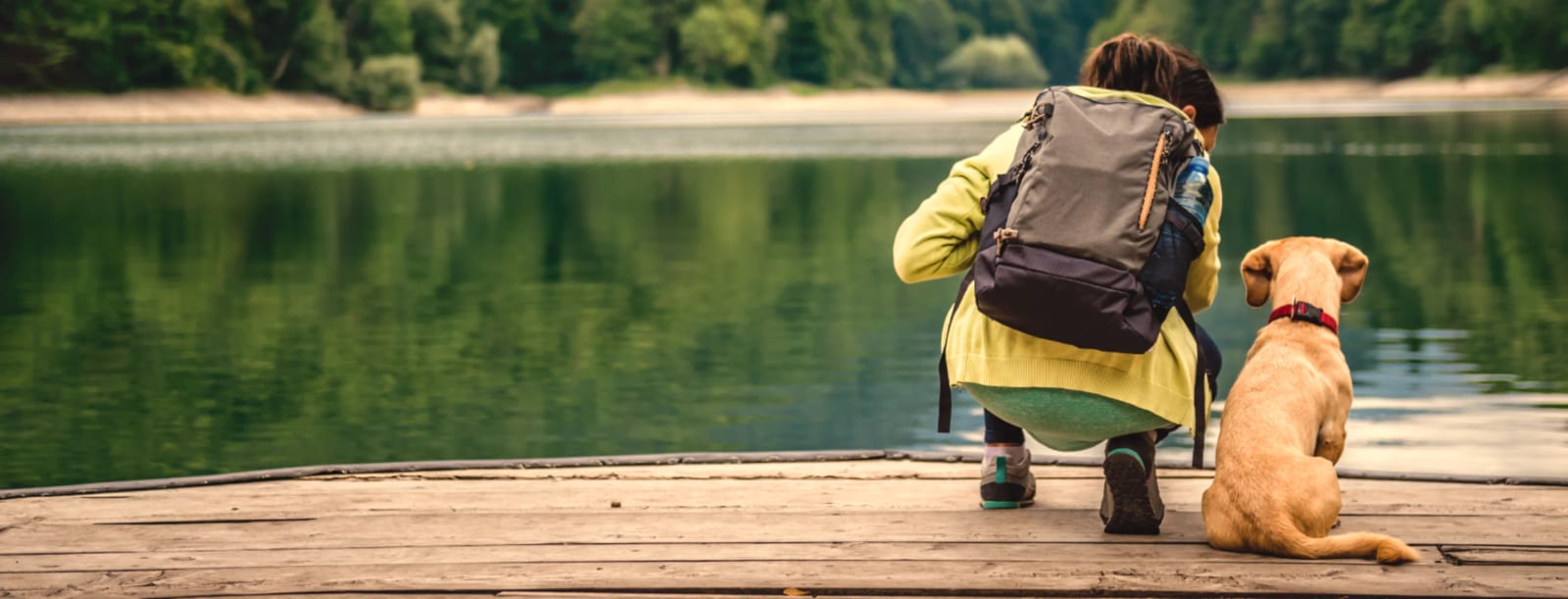 Person in a yellow-green jacket with a backpack crouching on a wooden dock beside a tan dog and a lake