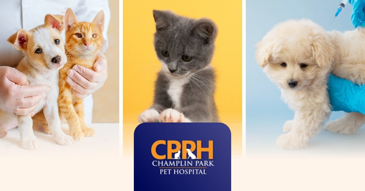 Champlin Park Pet Hospital - Champlin
