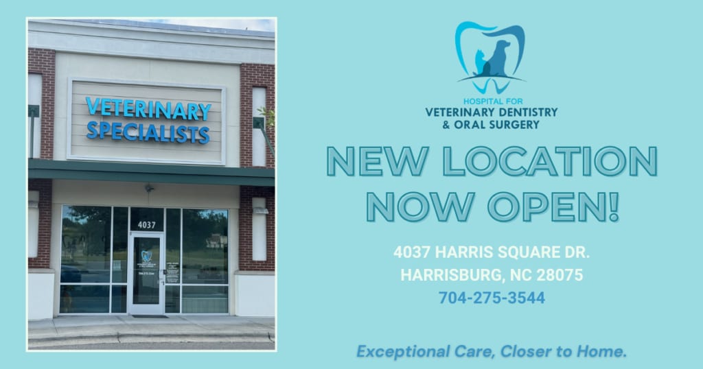 Hospital for Veterinary Dentistry and Oral Surgery - Matthews