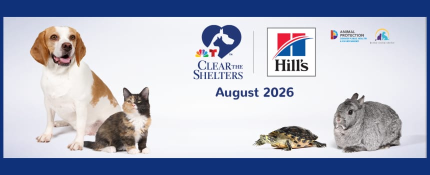Clear the Shelters and Hill's banner for August 2026 with a dog, a cat, a turtle and a rabbit