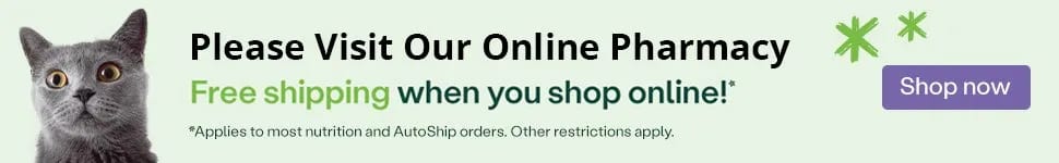 Online pharmacy banner reading free shipping when you shop online with a grey cat and a Shop now button
