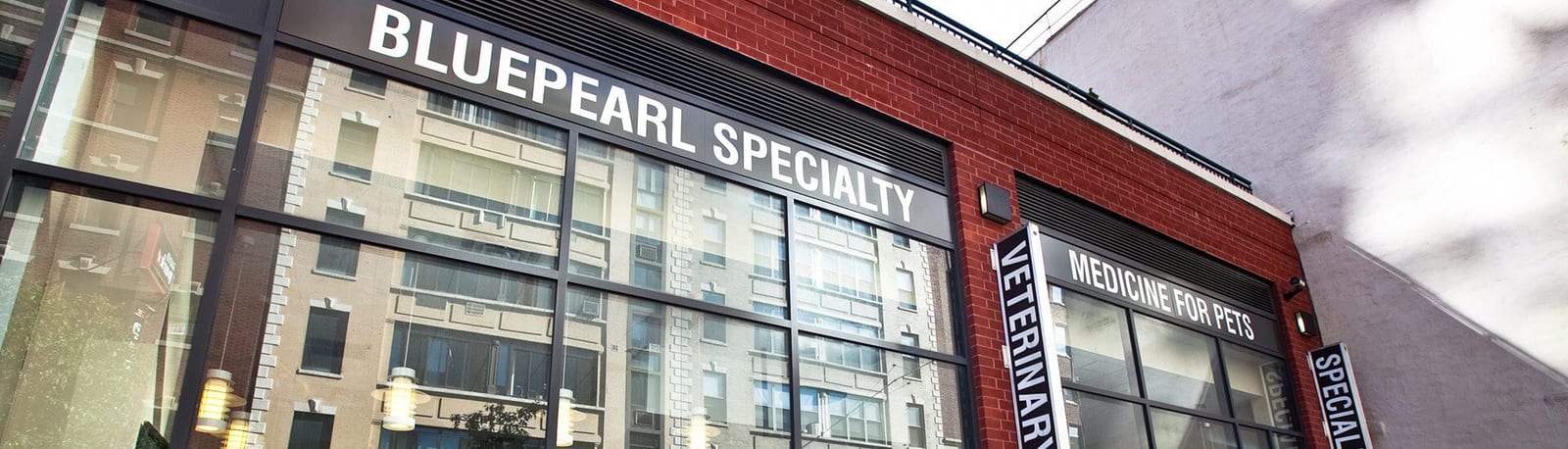 BluePearl Pet Hospital - New York