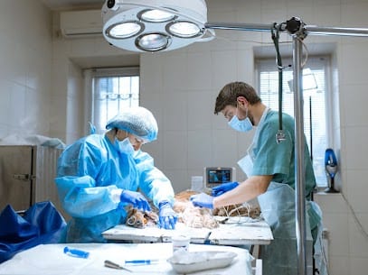 Two people in surgical gowns, caps and masks working at an operating table under a large overhead light