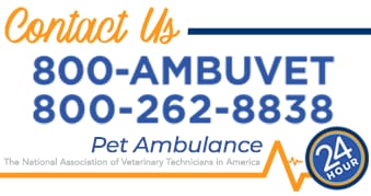 Contact Us graphic with a toll-free pet ambulance phone number and a 24 hour badge