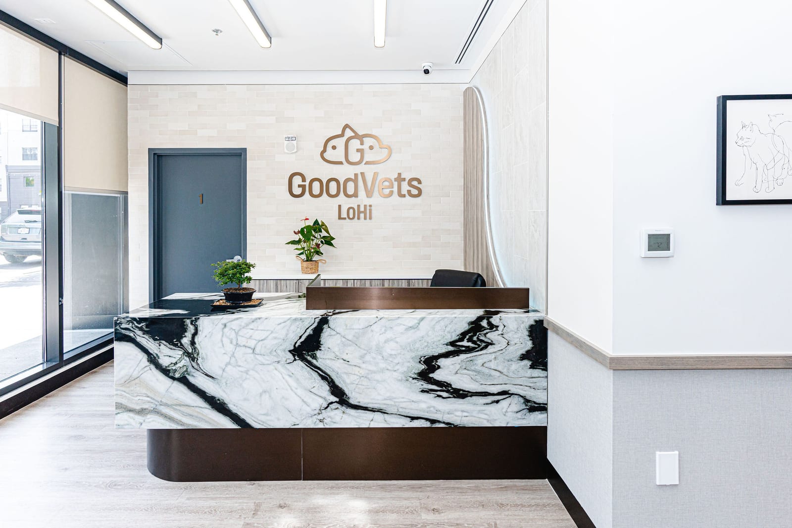 GoodVets LoHi - Denver