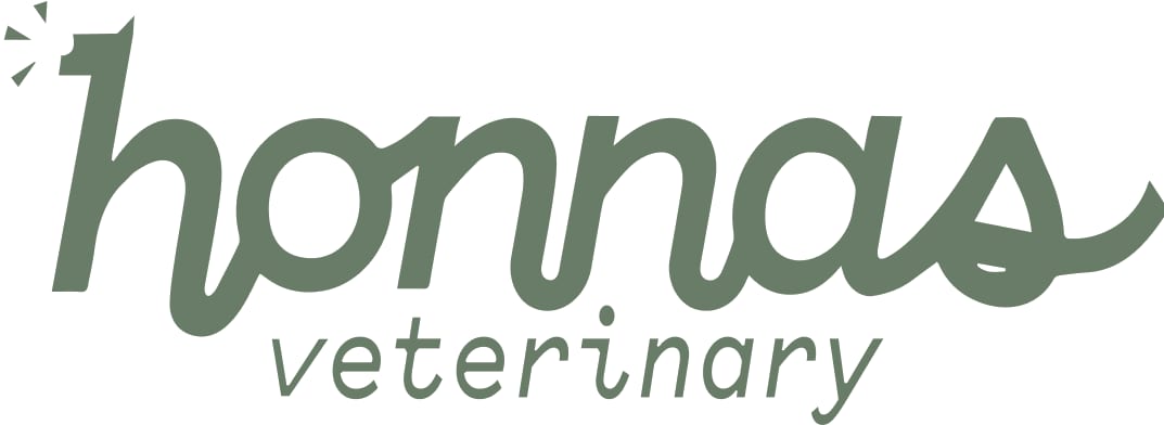 Honnas Veterinary - Austin