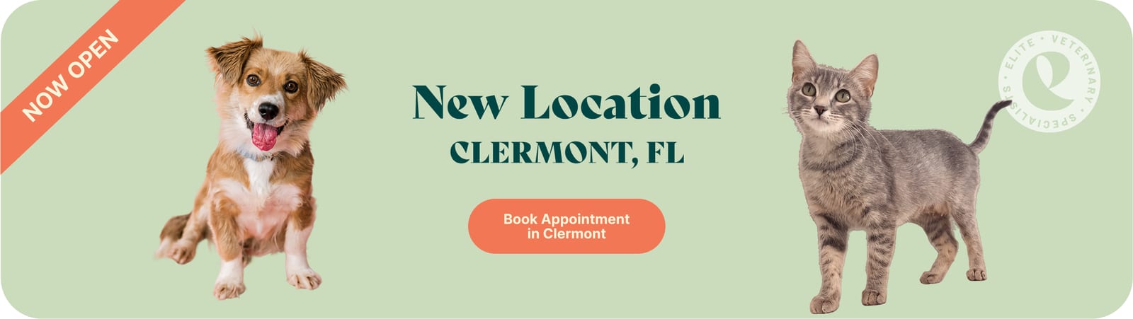 New Location Clermont, FL banner with a dog, a tabby cat and a Book Appointment button