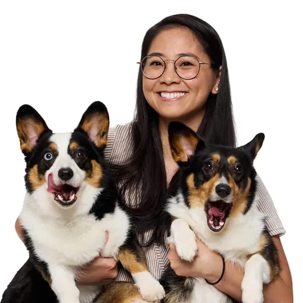 Smiling woman with round glasses and long dark hair holding two open-mouthed black, white and tan dogs