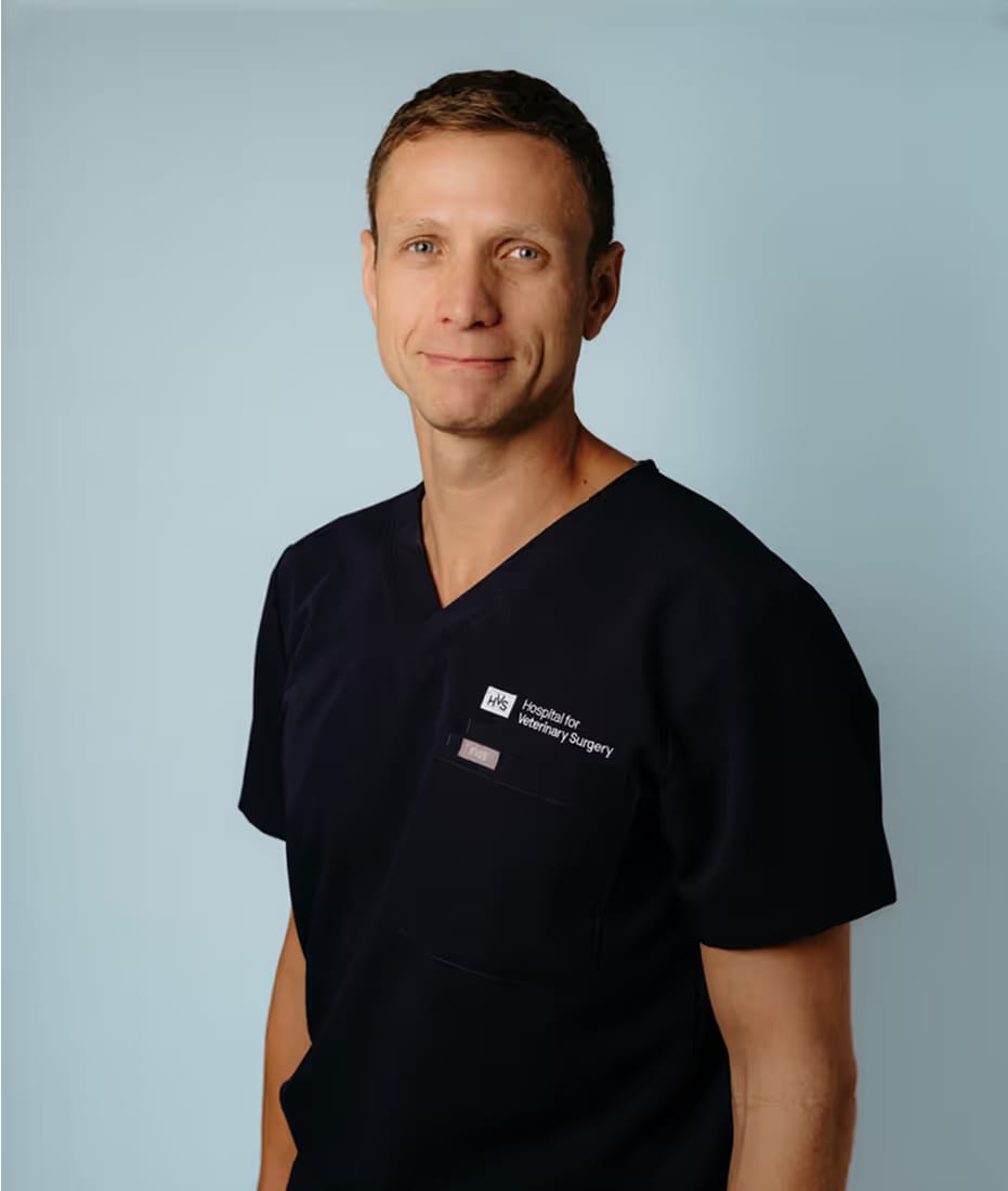 Hospital For Veterinary Surgery - New York City - New York