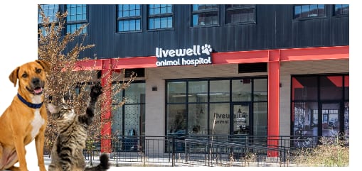 Livewell Animal Hospital building front with a cut-out dog and cat in the lower left corner