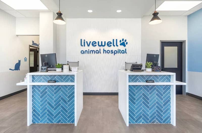 Livewell Animal Hospital reception area with two white counters fronted in blue herringbone tile