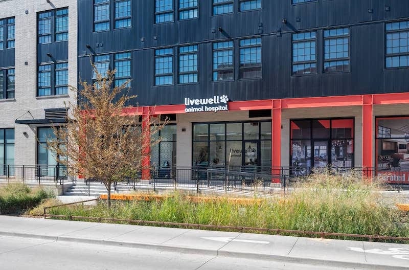 Livewell Animal Hospital of RiNo - Denver