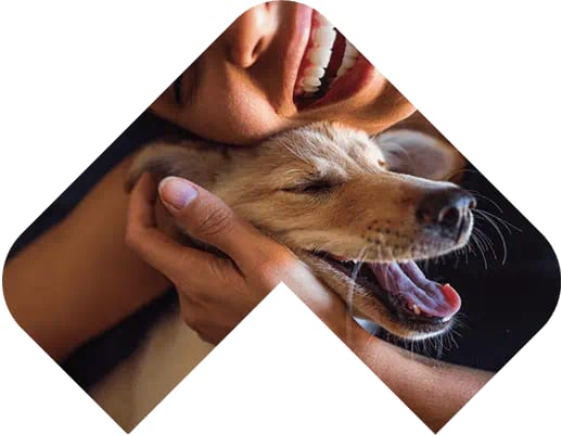 Tan dog with closed eyes held gently by a smiling person, in a chevron-shaped crop