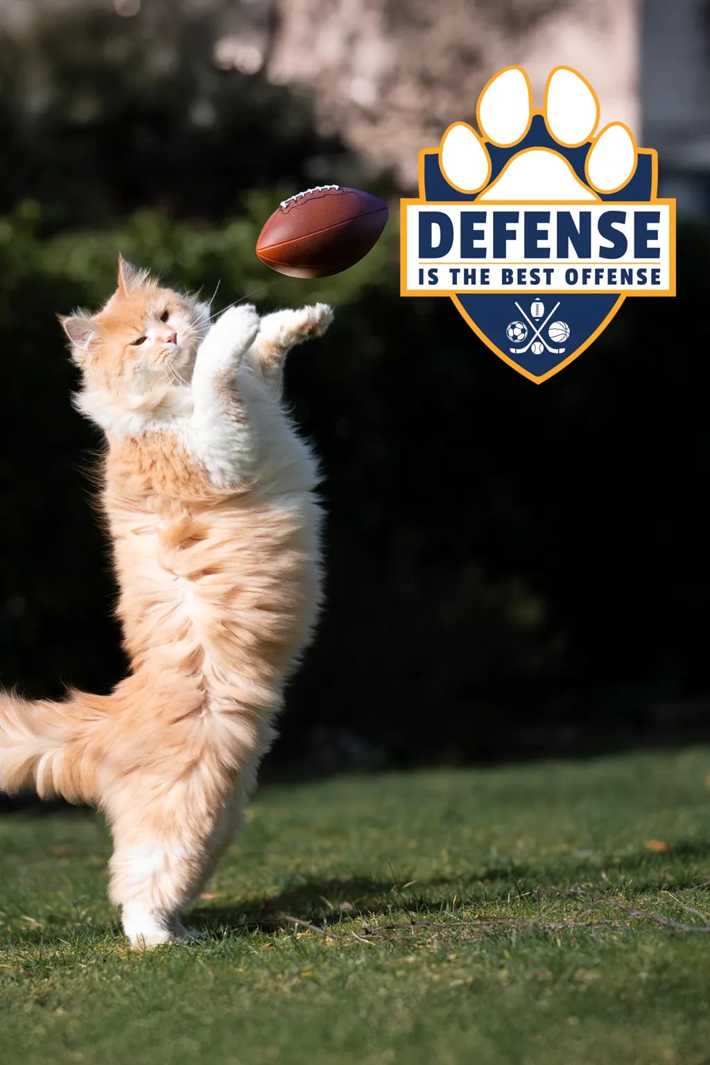 Orange fluffy cat reaching for a football, with a paw print badge reading Defense is the best offense