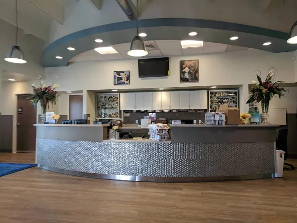 Reception area of Evans East Animal Hospital with a curved counter covered in silver mosaic tiles