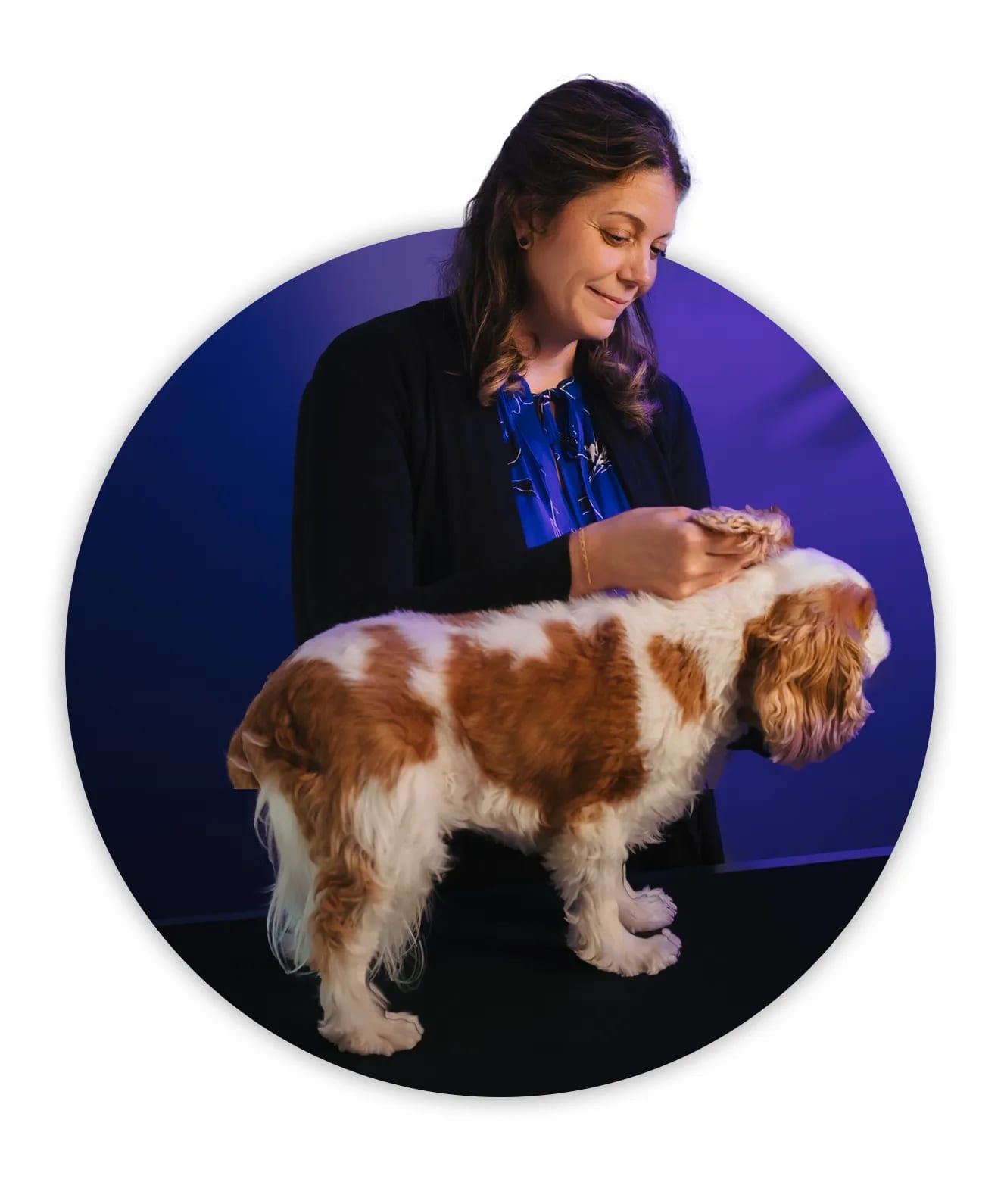 Person in a dark cardigan with a brown and white long-eared dog standing on a table, in a circular crop