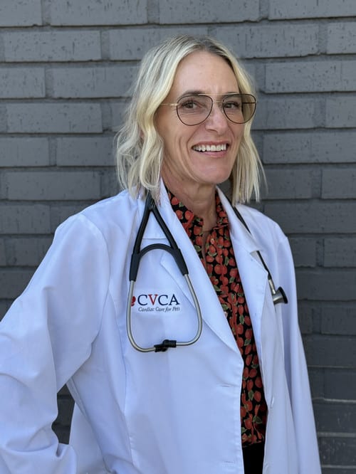Smiling person with glasses in a white coat with a CVCA Cardiac Care for Pets logo and a stethoscope
