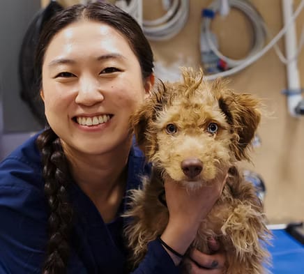 Smiling person in navy scrubs with a long braid holding a fluffy apricot-coloured puppy