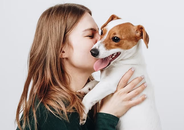 East Lake Veterinary Hospital - Dallas